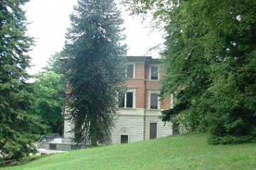 Sfoglia la galleria